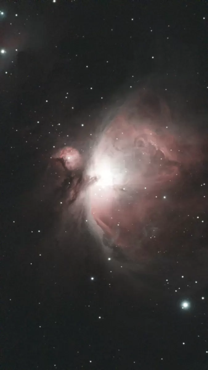 WhatsApp Image 2026-01-07 at 10.34.50